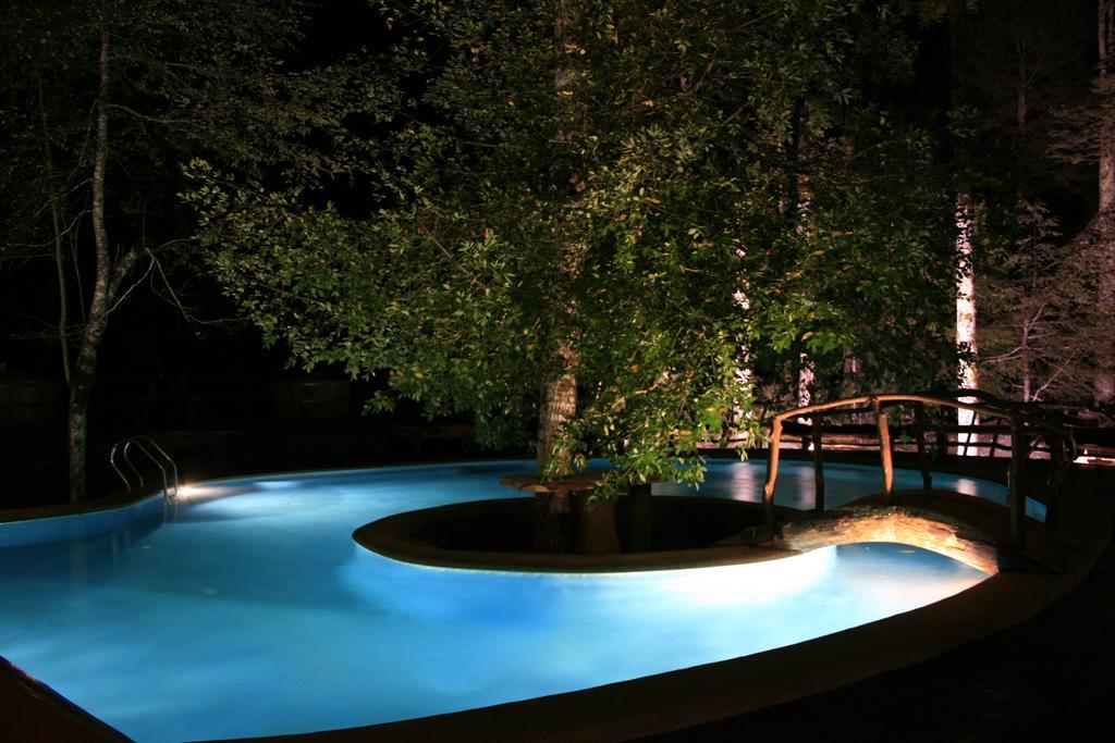 Huilo Huilo Nothofagus Hotel & Spa بويرتو فوي المظهر الخارجي الصورة