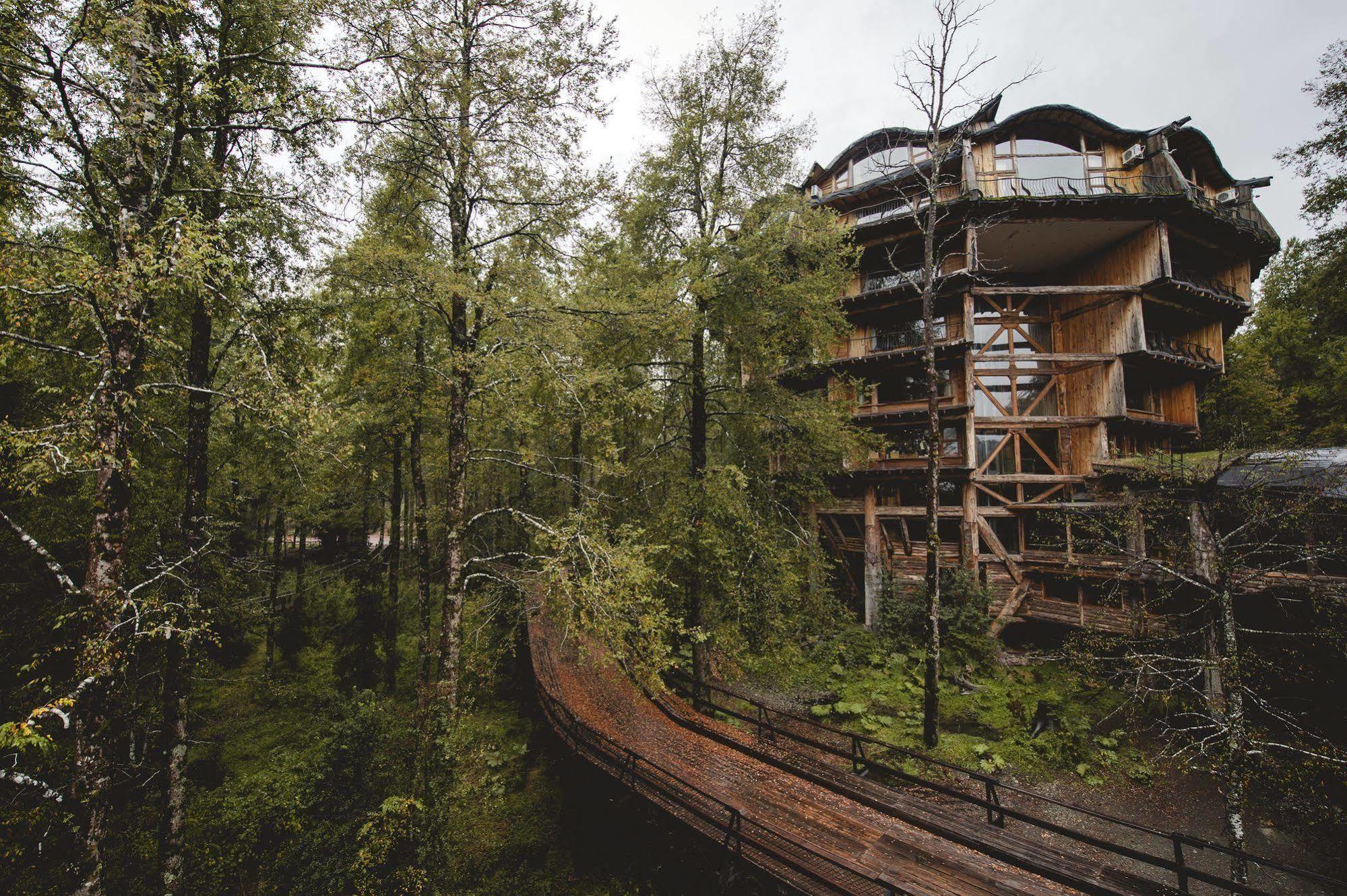 Huilo Huilo Nothofagus Hotel & Spa بويرتو فوي المظهر الخارجي الصورة