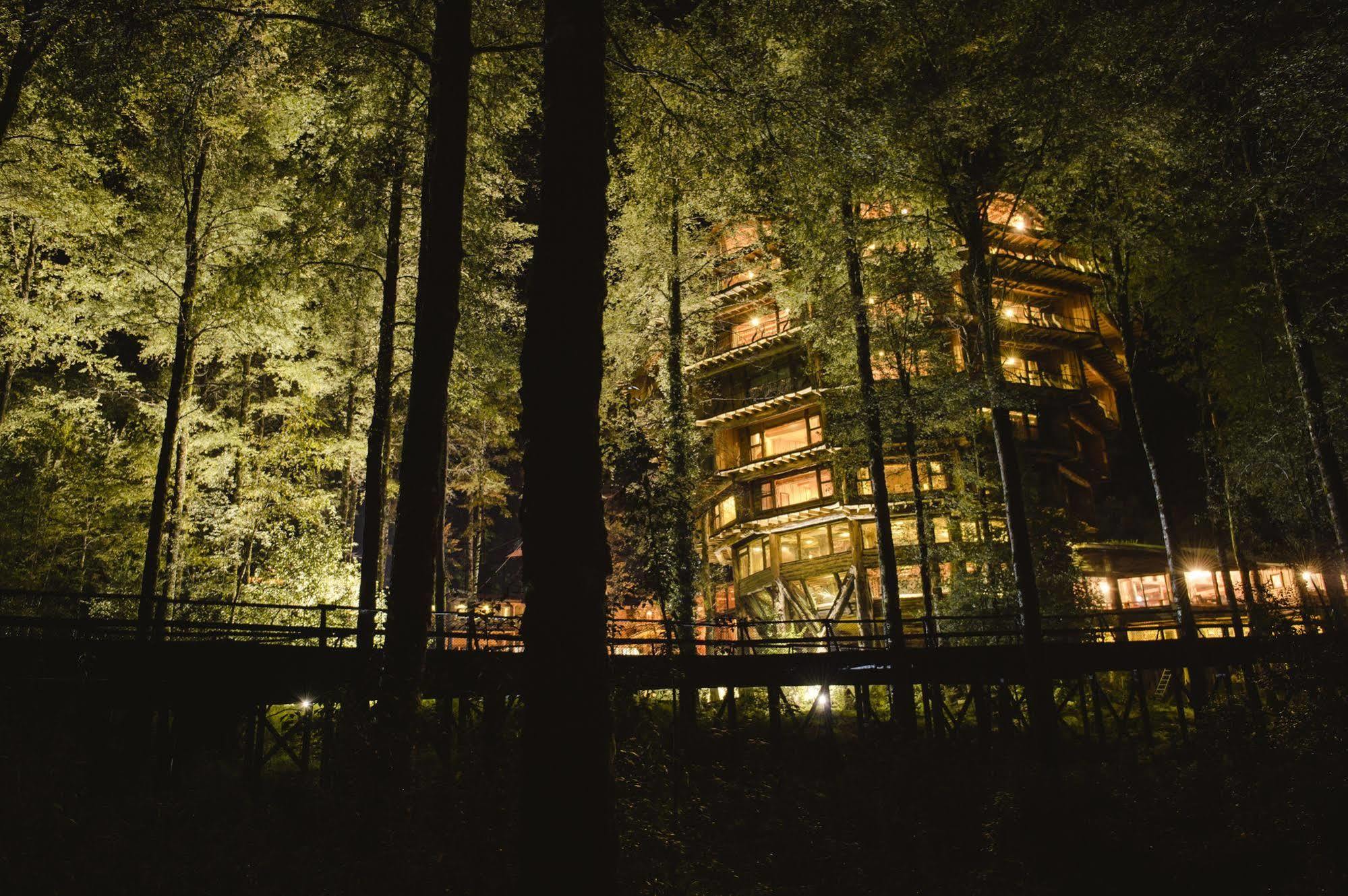 Huilo Huilo Nothofagus Hotel & Spa بويرتو فوي المظهر الخارجي الصورة