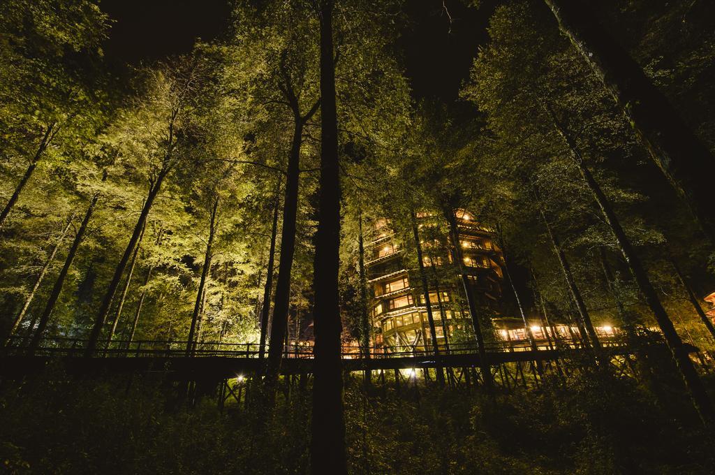 Huilo Huilo Nothofagus Hotel & Spa بويرتو فوي المظهر الخارجي الصورة